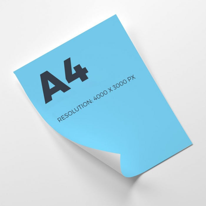 Leaflets · Posters · Promotional Prints