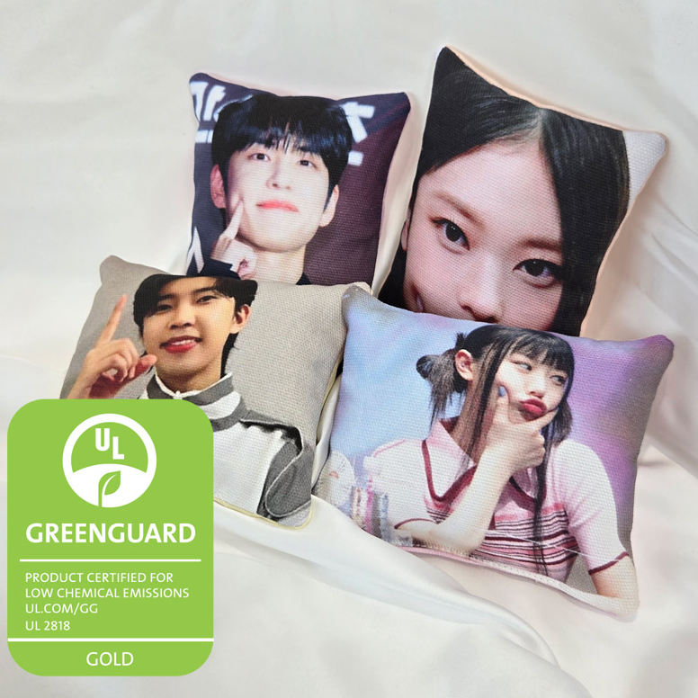 Cushion
