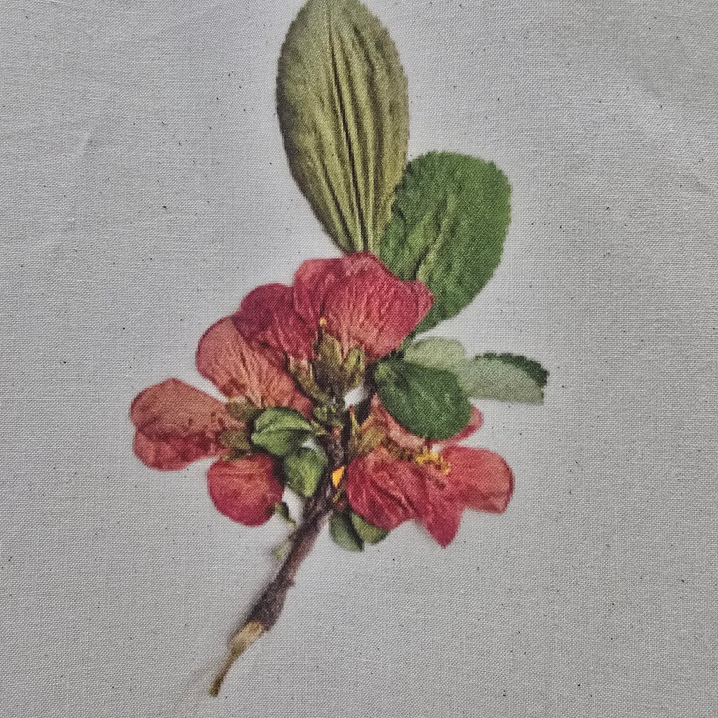 Linen print